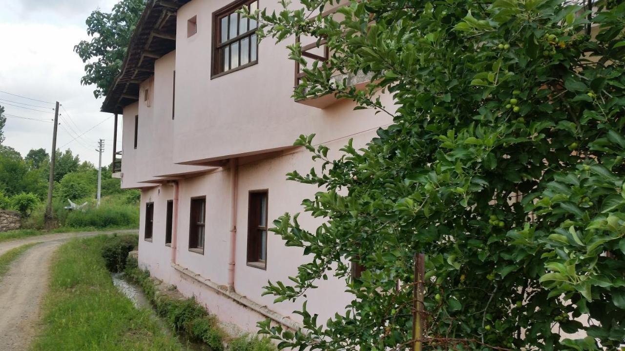 Elmas Pansiyon Karacasu  Extérieur photo